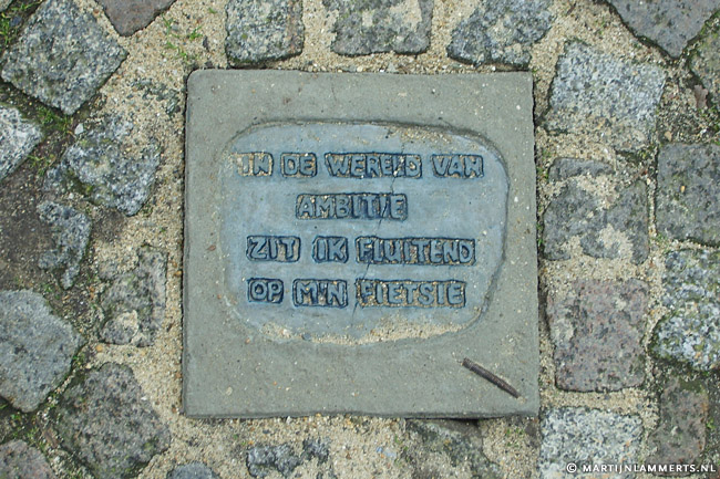 In de wereld van ambitie