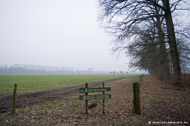 De Biologische Hoge Weide