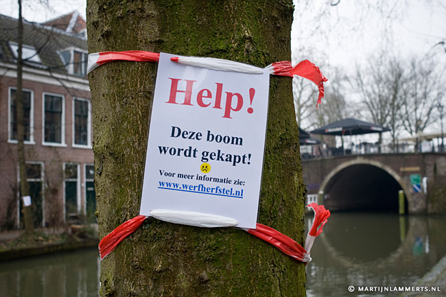 Help! Deze boom wordt gekapt