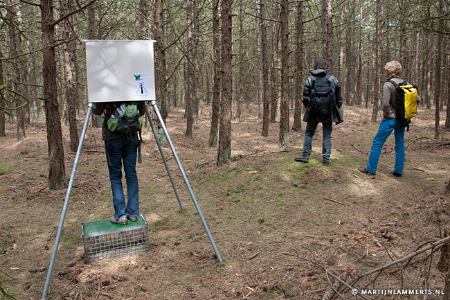 Oerol / Natuurmomenten