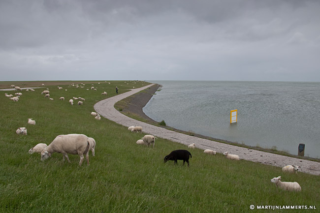 National Geographic / de Maand van de Aarde