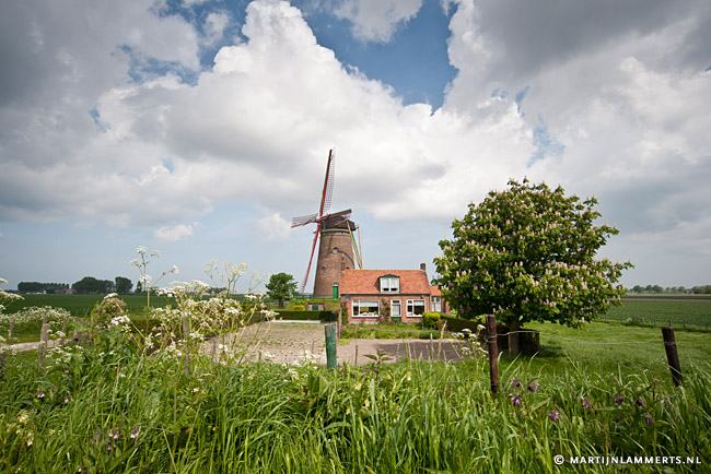 Beltmolen van Zuidzande