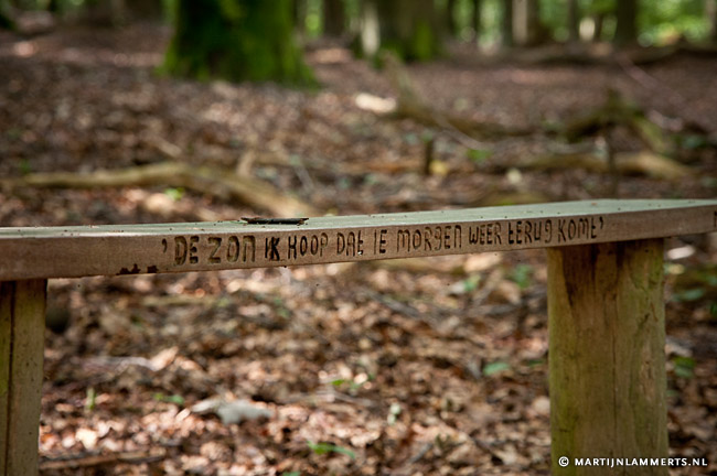 De zon, ik hoop dat ie morgen weer terug komt
