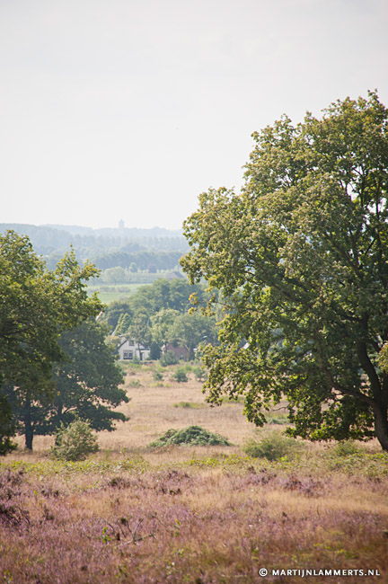 Uitzicht richting Tiel